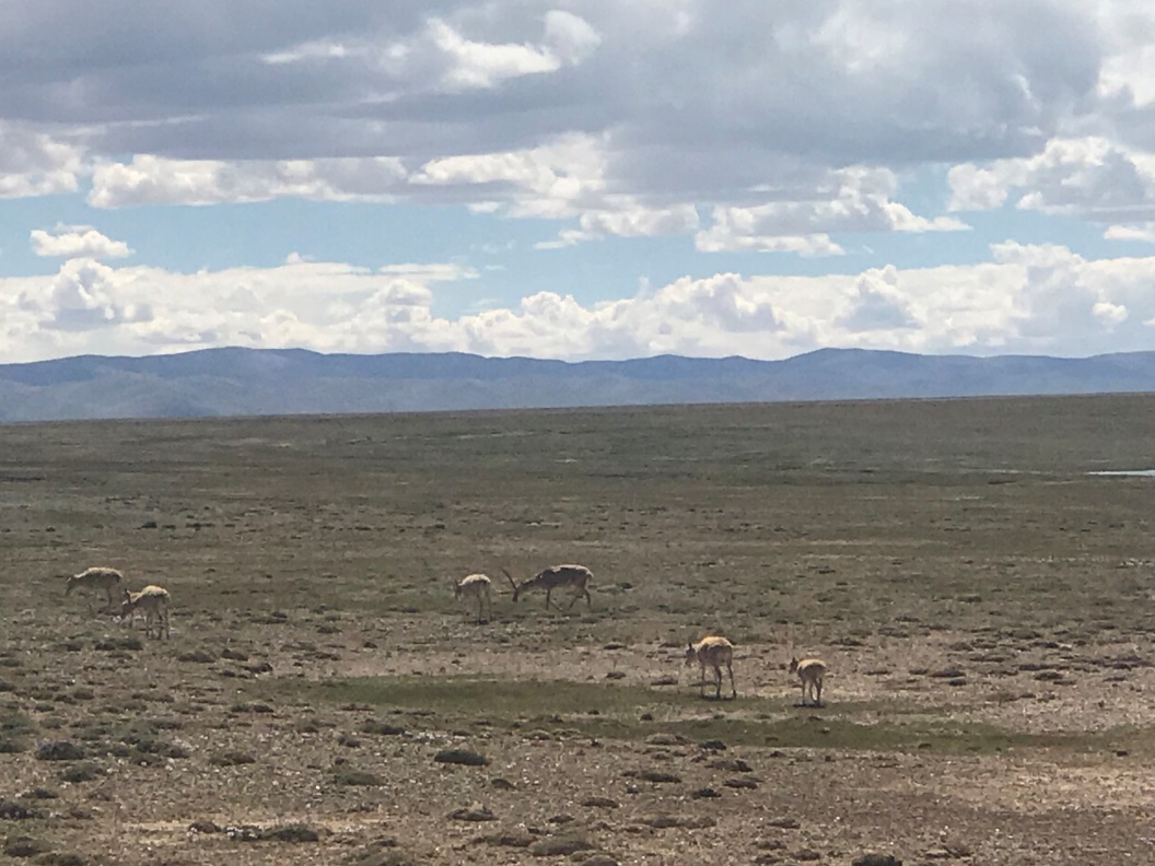 说明: C:\Users\jia\Desktop\微信图片_20190828100425.jpg